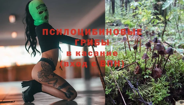 стаф Краснотурьинск