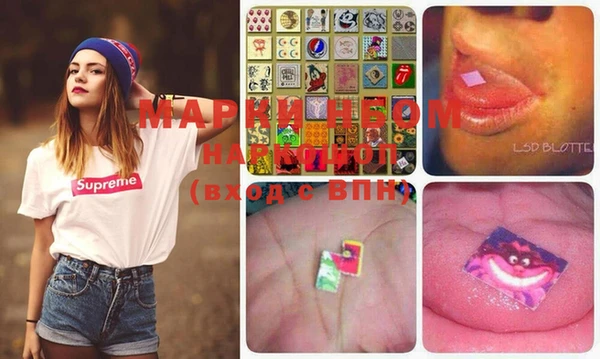 индика Видное